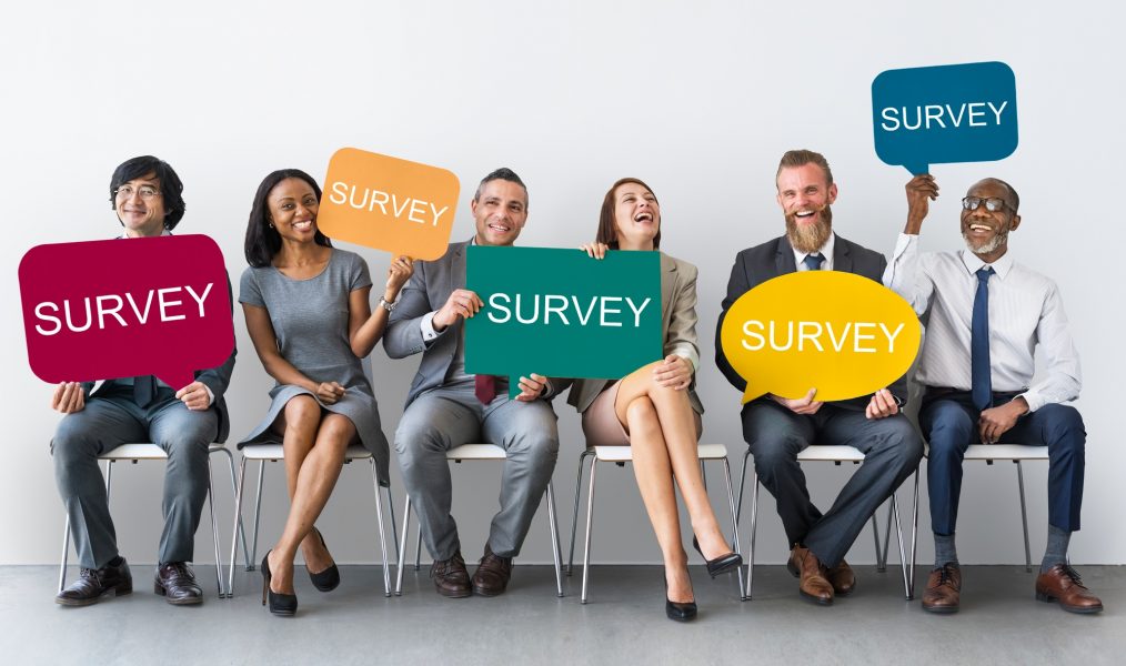 Business survey team